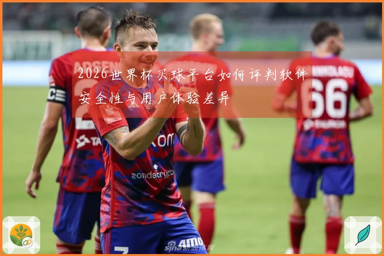 2026世界杯买球平台如何评判软件安全性与用户体验差异