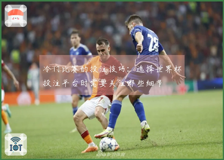 冷门比赛的投注技巧：选择世界杯投注平台时需要关注哪些细节
